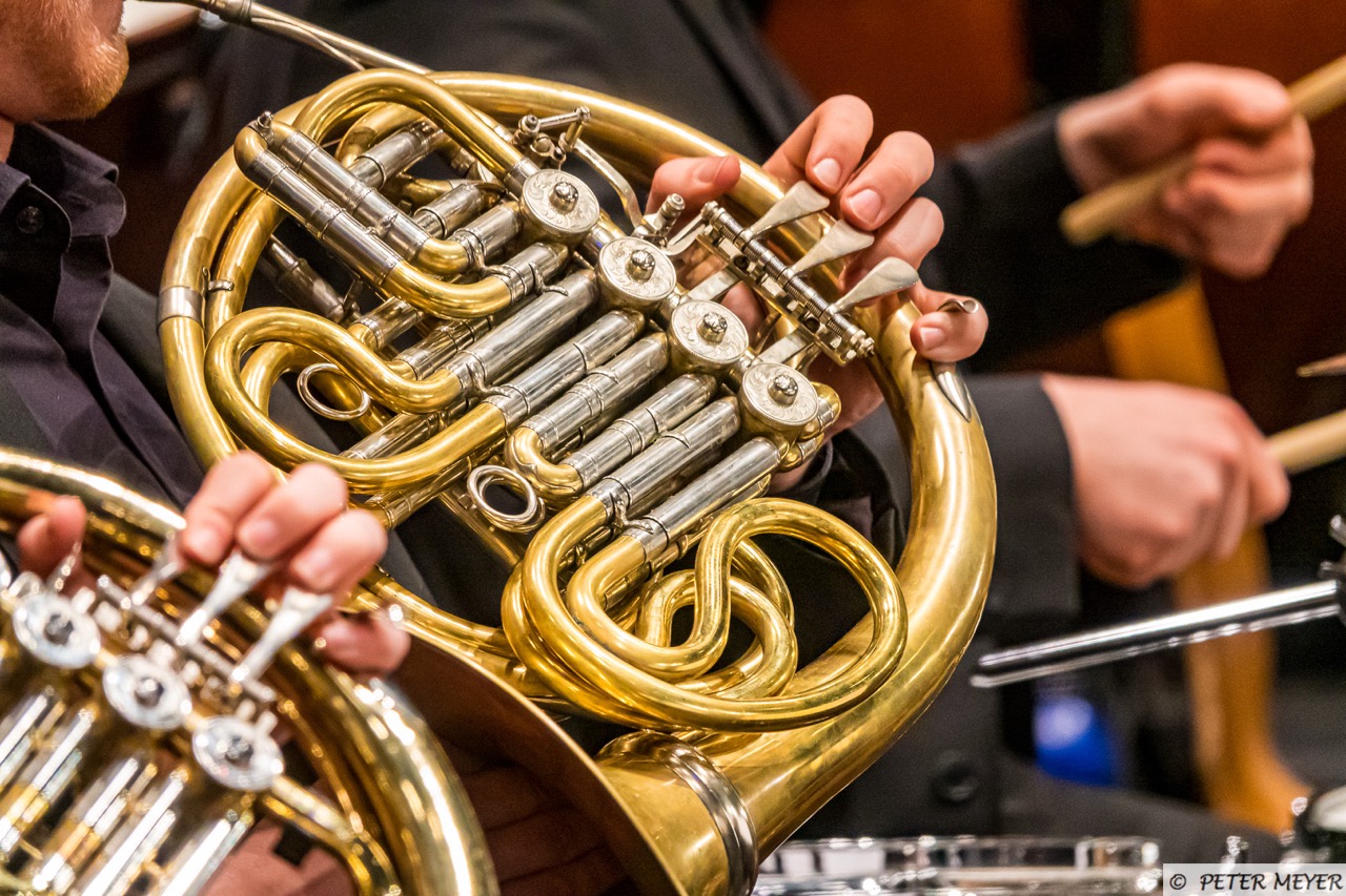 Detailaufnahme der Waldhörner